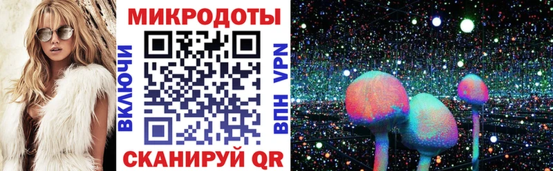 Галлюциногенные грибы Psilocybe  Мамадыш 